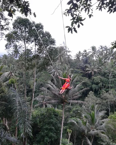 Bali Ubud Swing