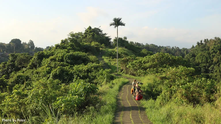 Campuhan Ridge Walk Ubud
